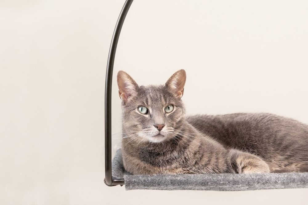 tuft + paw Cloud Nine Window Hammock - Image 3