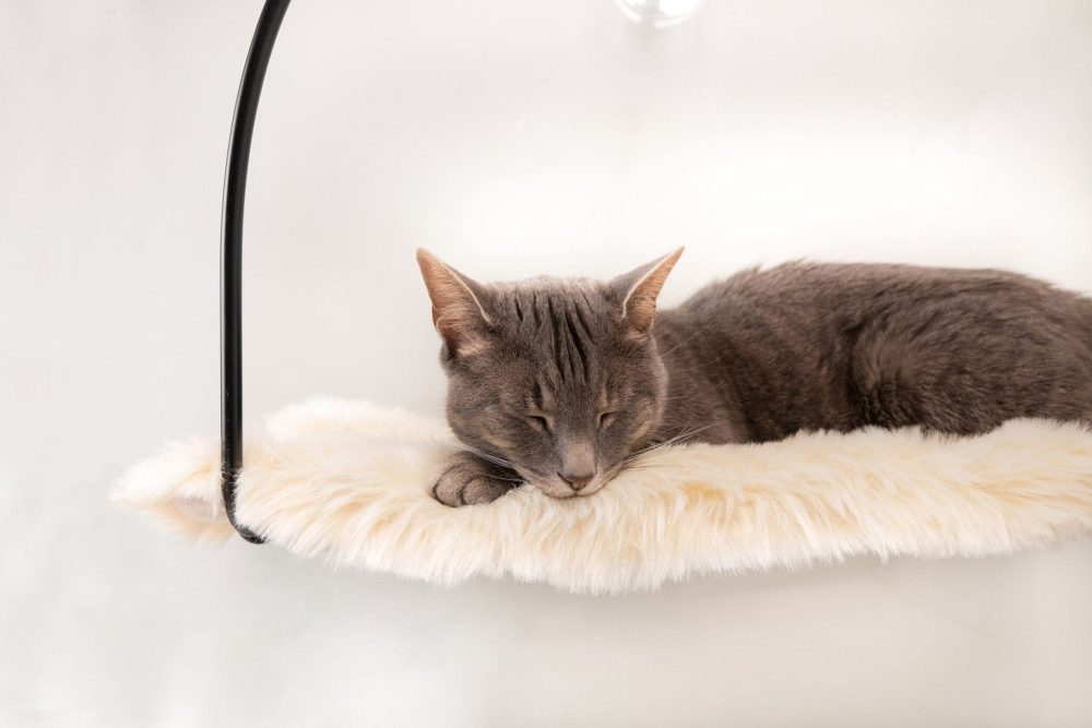 tuft + paw Cloud Nine Window Hammock - Image 5