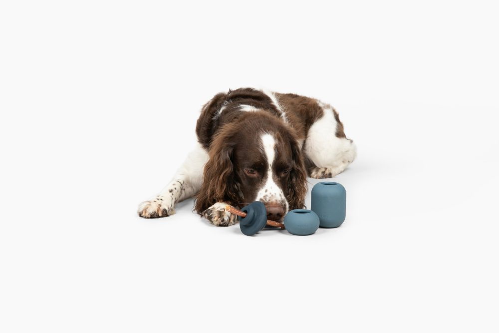 Bully Stick Set - Image 4