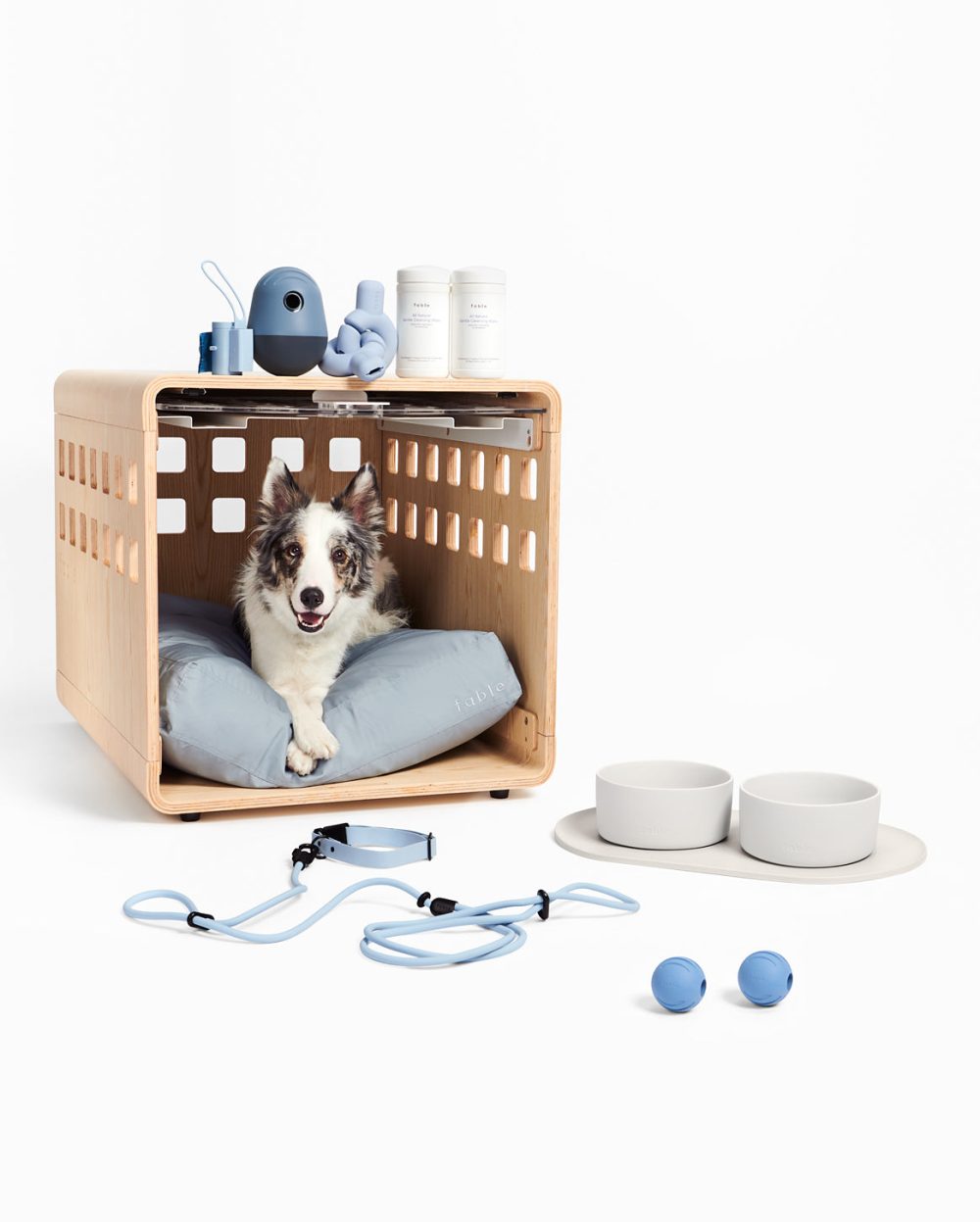 Ultimate Dog Set - Image 3