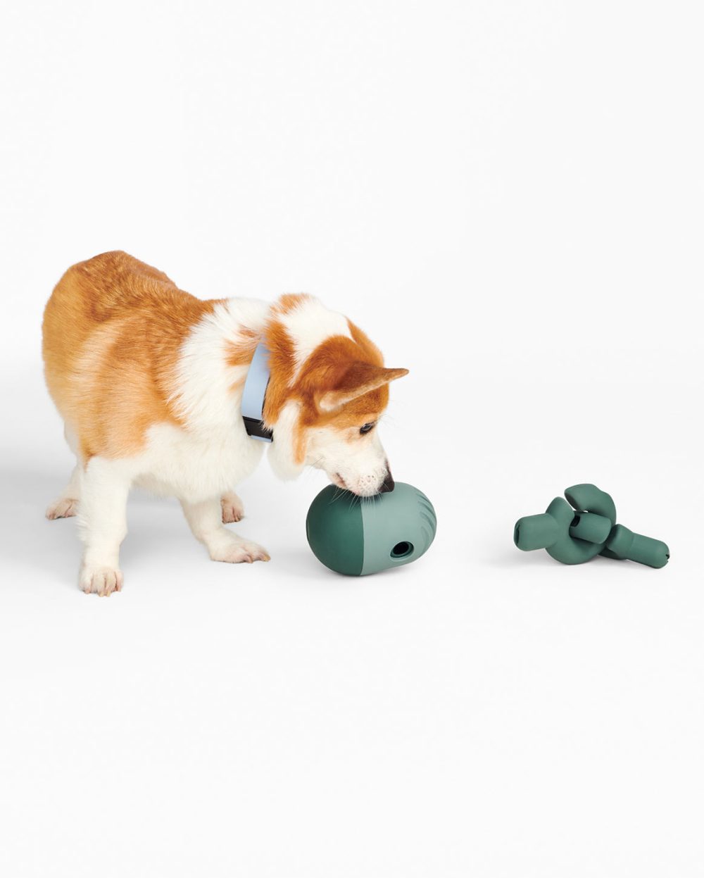 Enrichment Set - Image 4