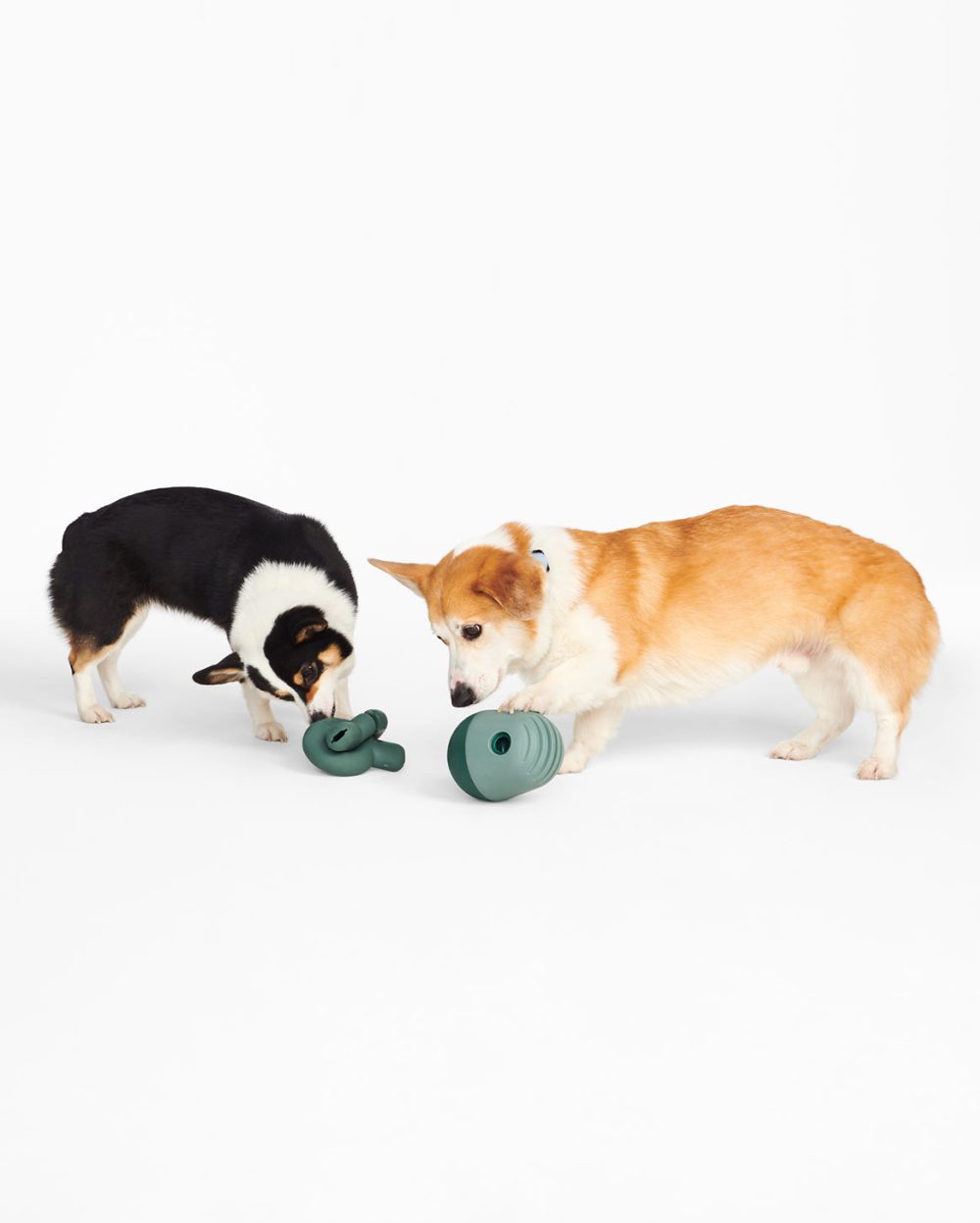 Enrichment Set - Image 3