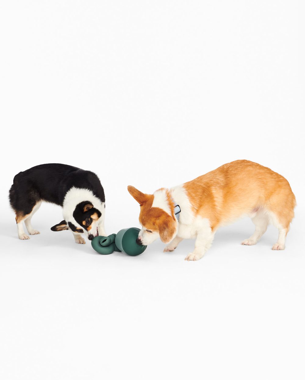 Enrichment Set - Image 5