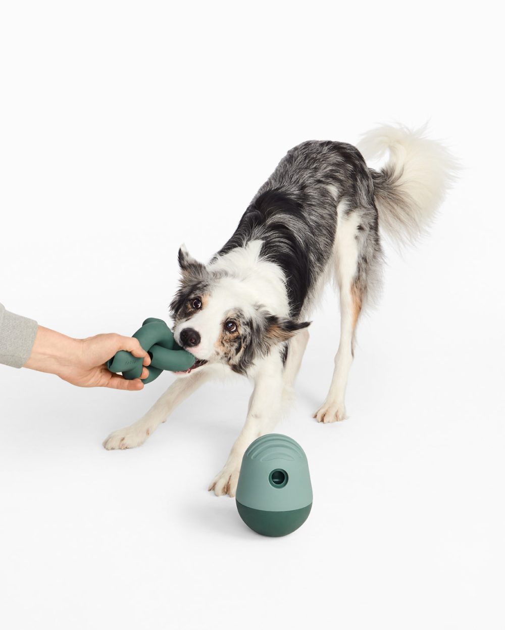 Enrichment Set - Image 2