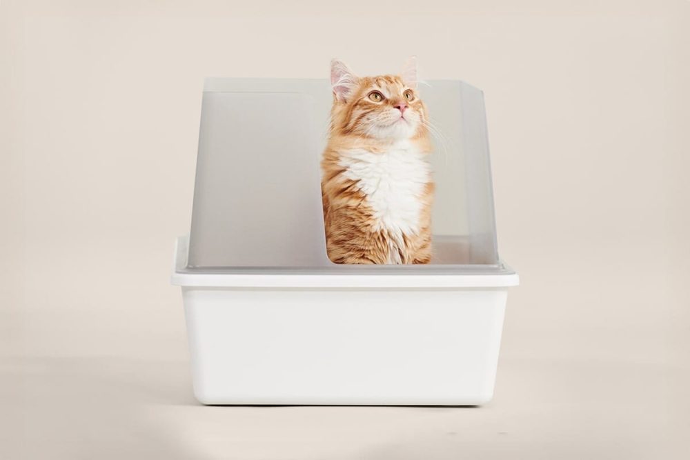 tuft + paw Cubby Litter Box - Image 3