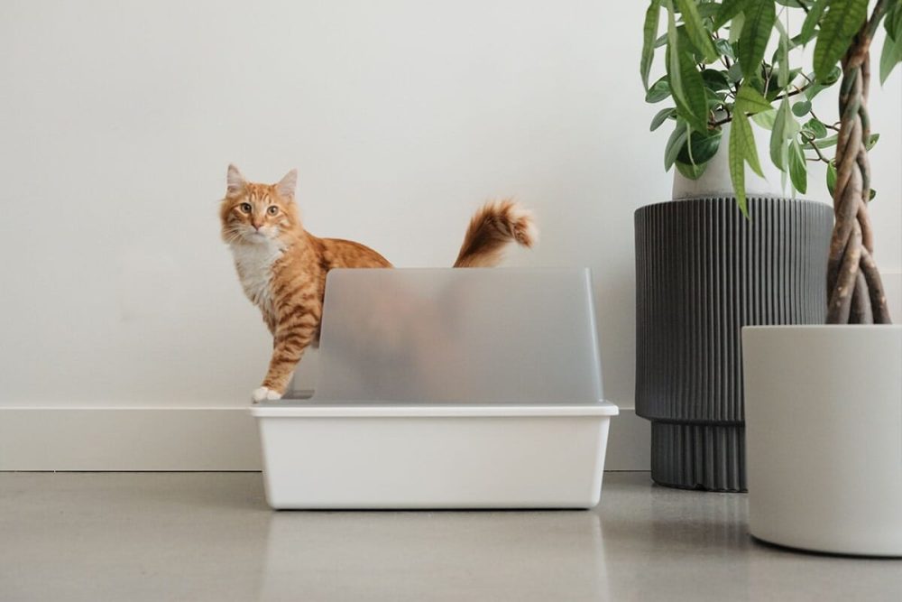 tuft + paw Cubby Litter Box - Image 4