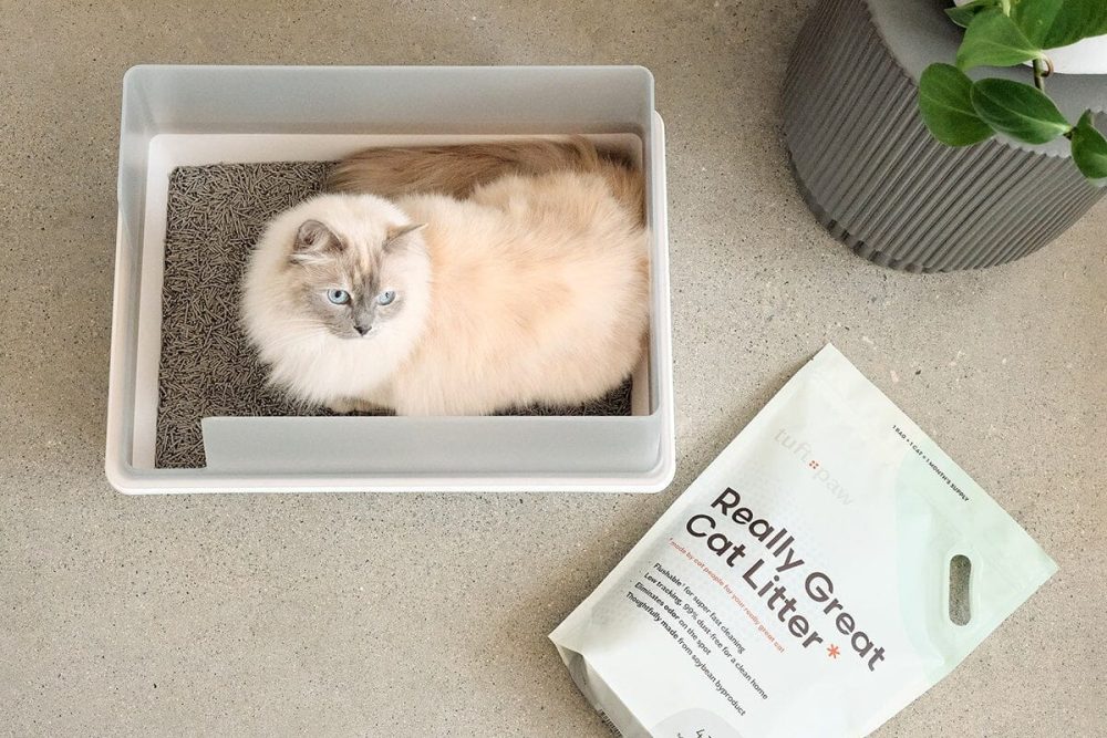 tuft + paw Cubby Litter Box - Image 6