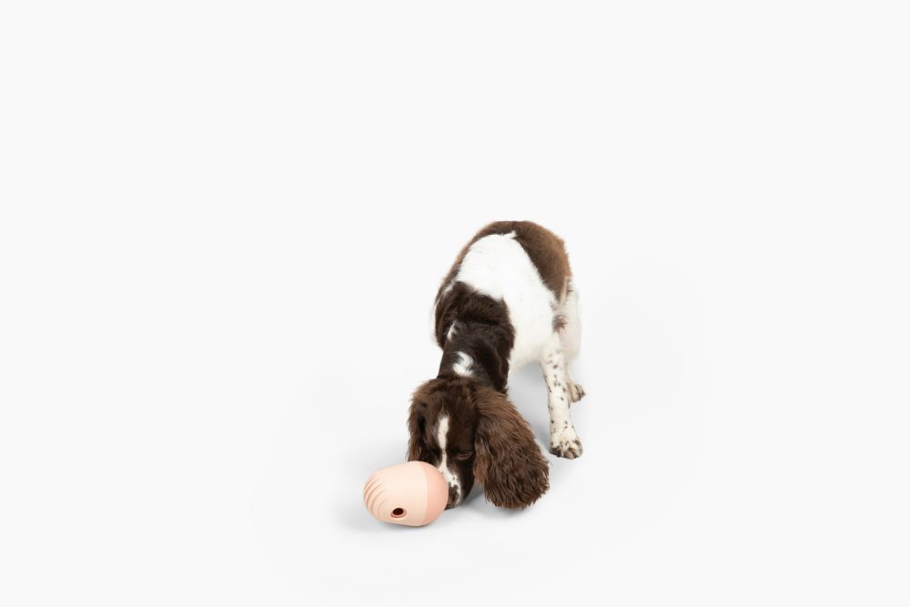 Fable Bites - Image 6