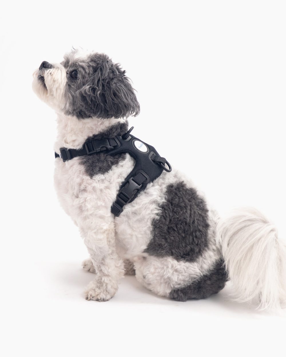 Signature Harness - Image 2