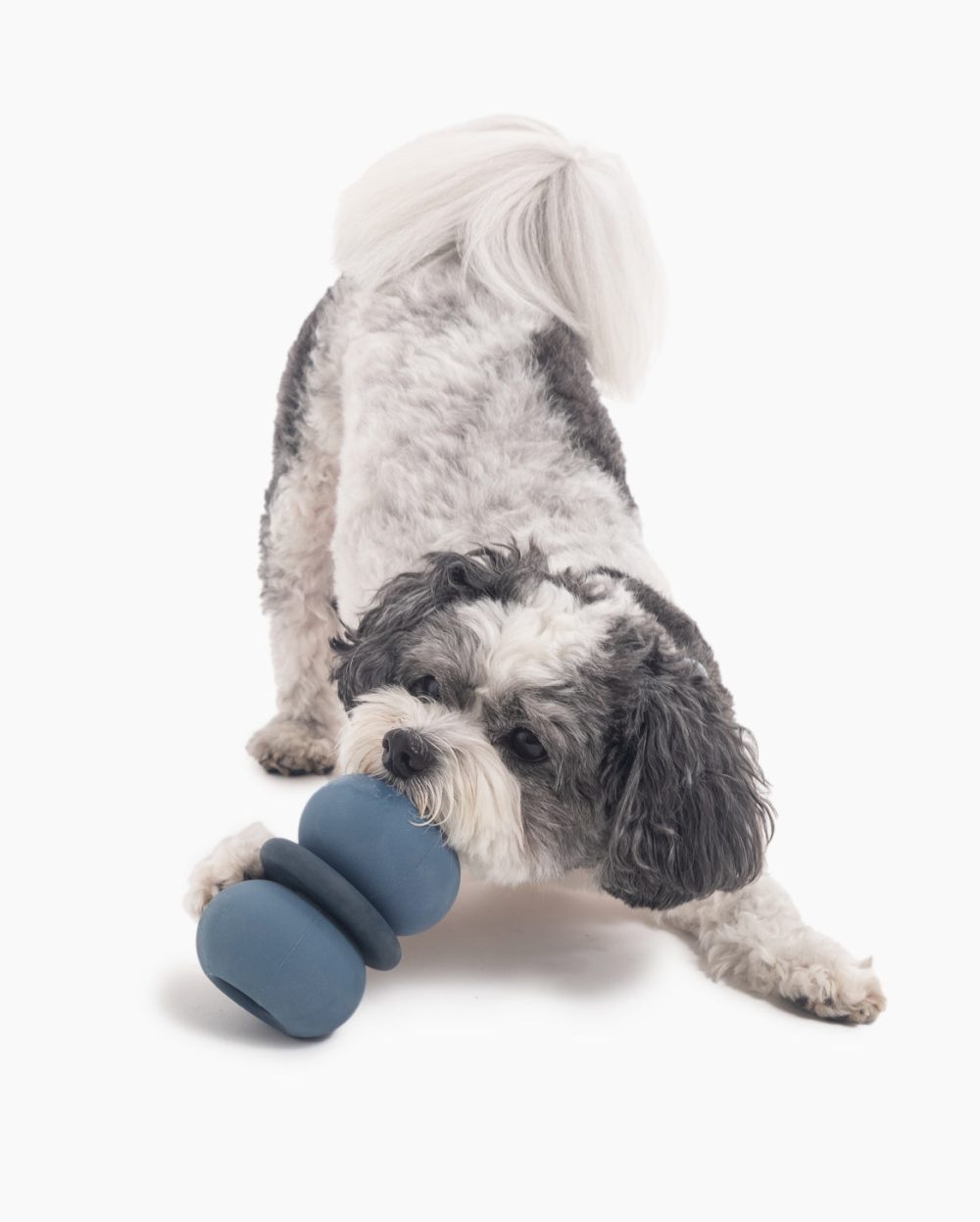 Puzzle + Play Set - Image 4
