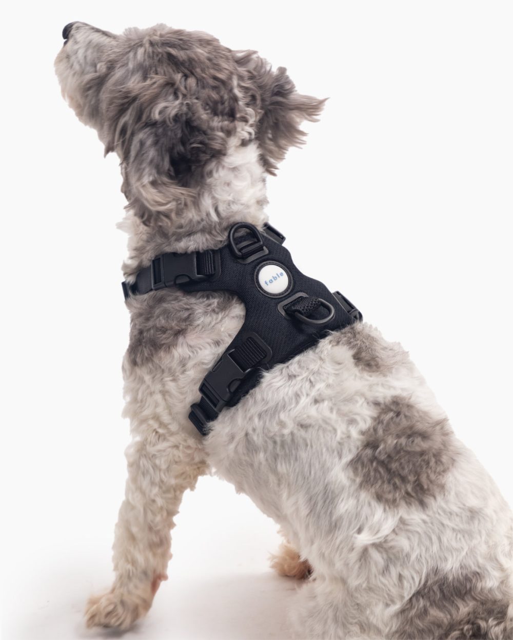 Signature Harness - Image 7