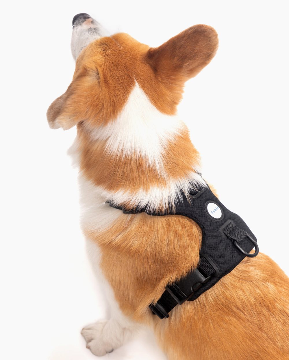 Signature Harness - Image 12
