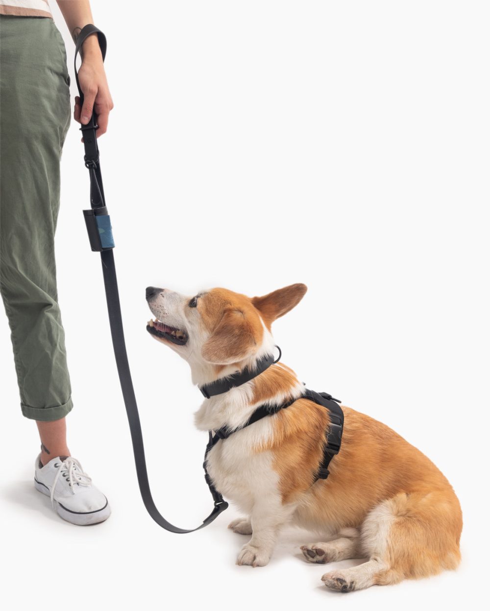 Ultimate Walk Set - Image 3
