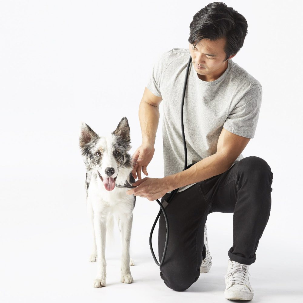 Magic Leash? - Image 5