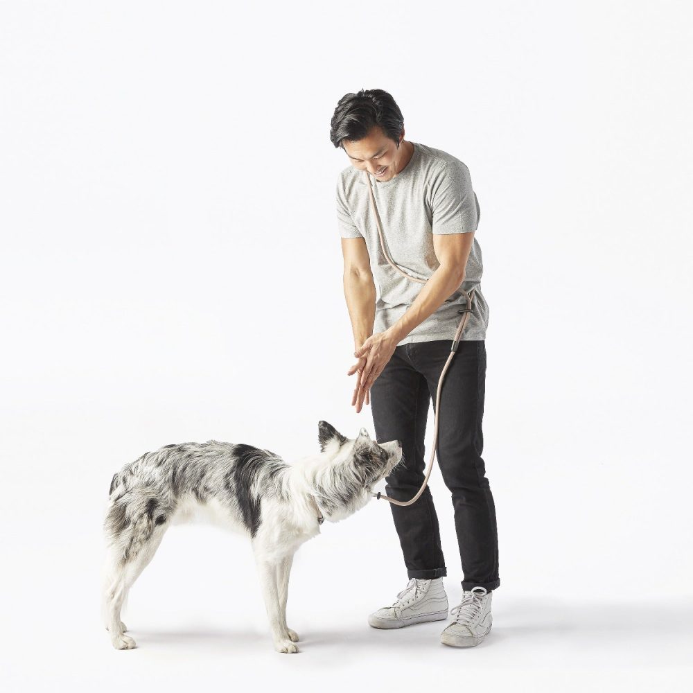 Magic Leash? - Image 8