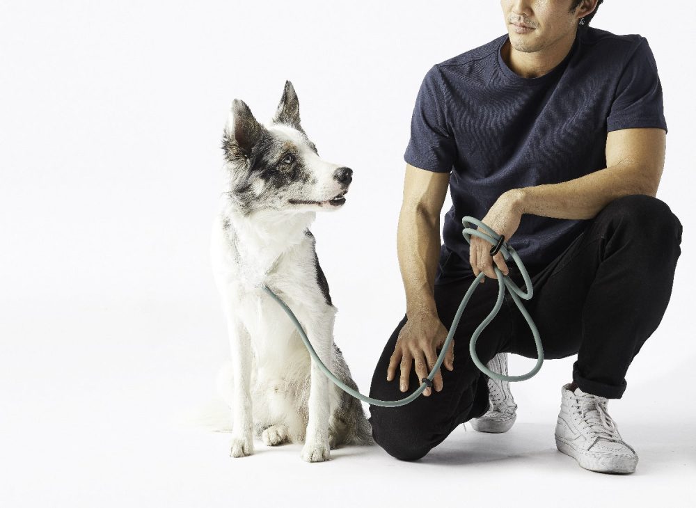 Magic Leash? - Image 14