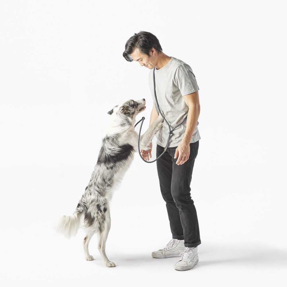 Magic Leash? - Image 11