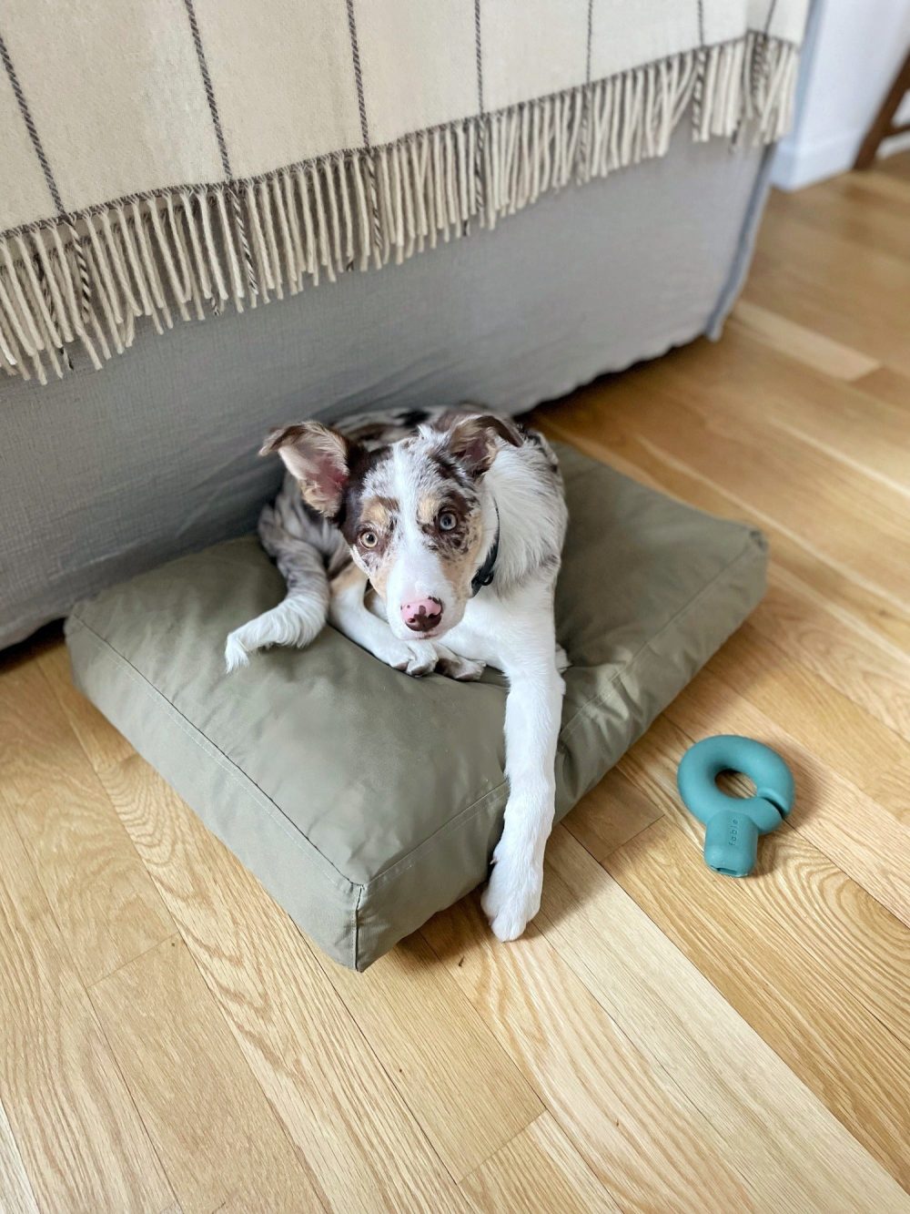 Bed - Image 21