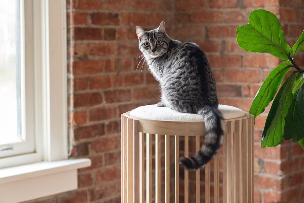 tuft + paw Grove Cat Tower - Image 4