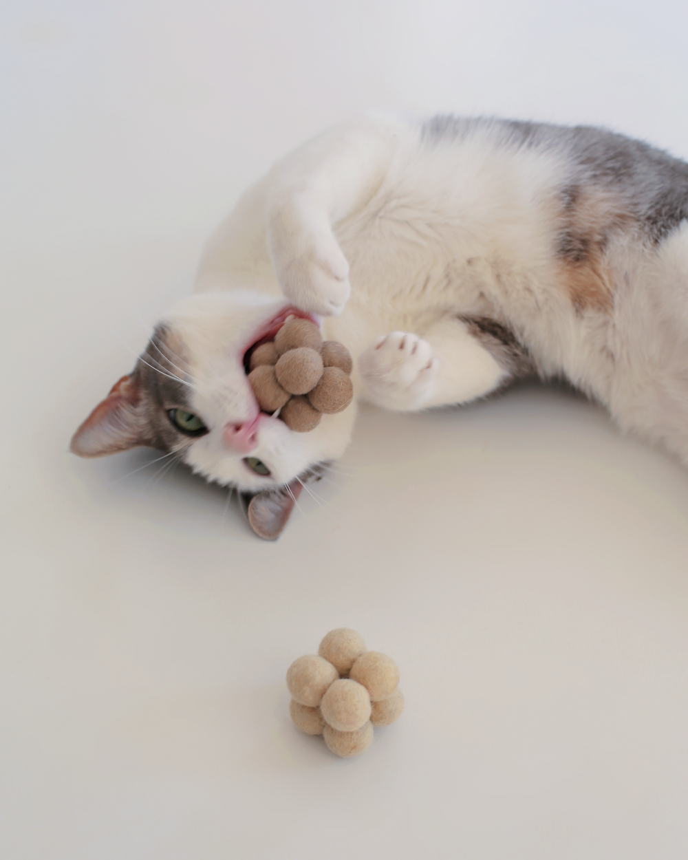 Catenary Pearl Toys - Image 4
