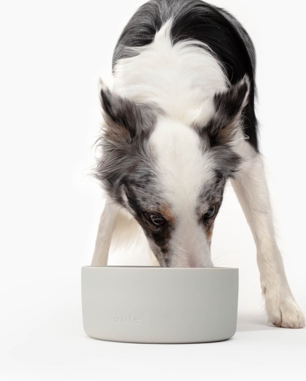 Bowl - Image 8