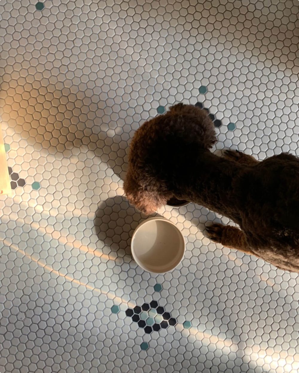 Bowl - Image 12