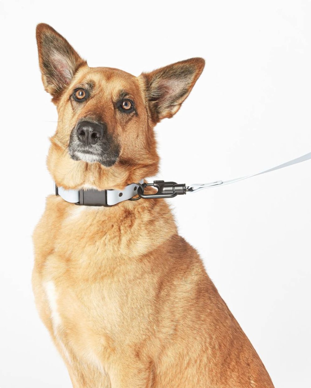 Signature Collar - Image 3