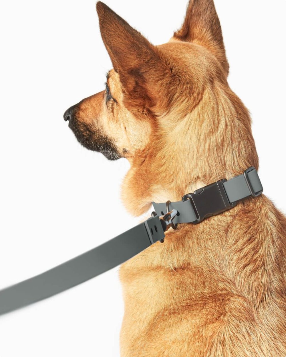 Signature Collar - Image 15