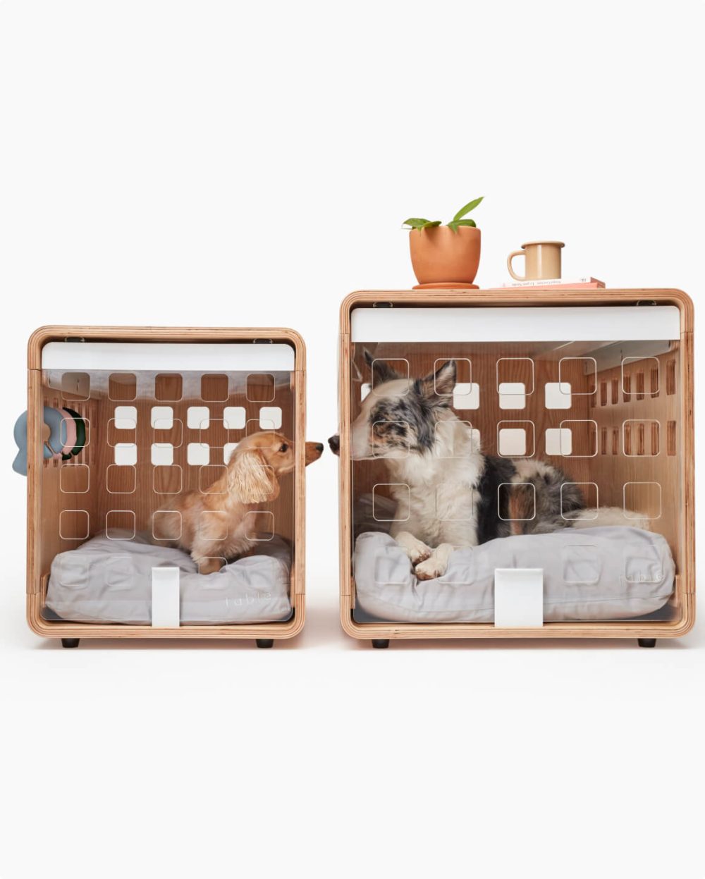 Crate - Image 30