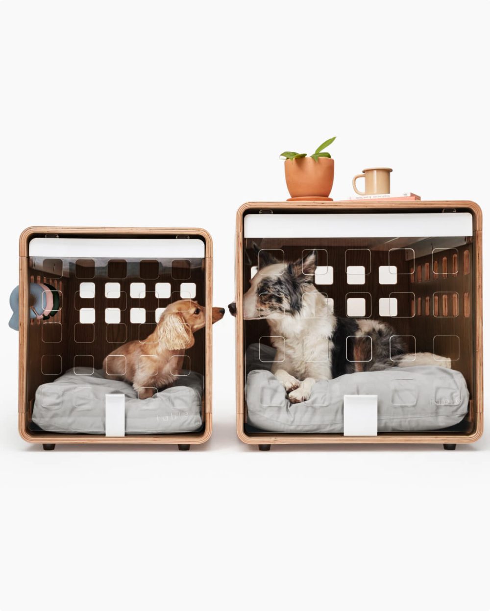 Crate - Image 34