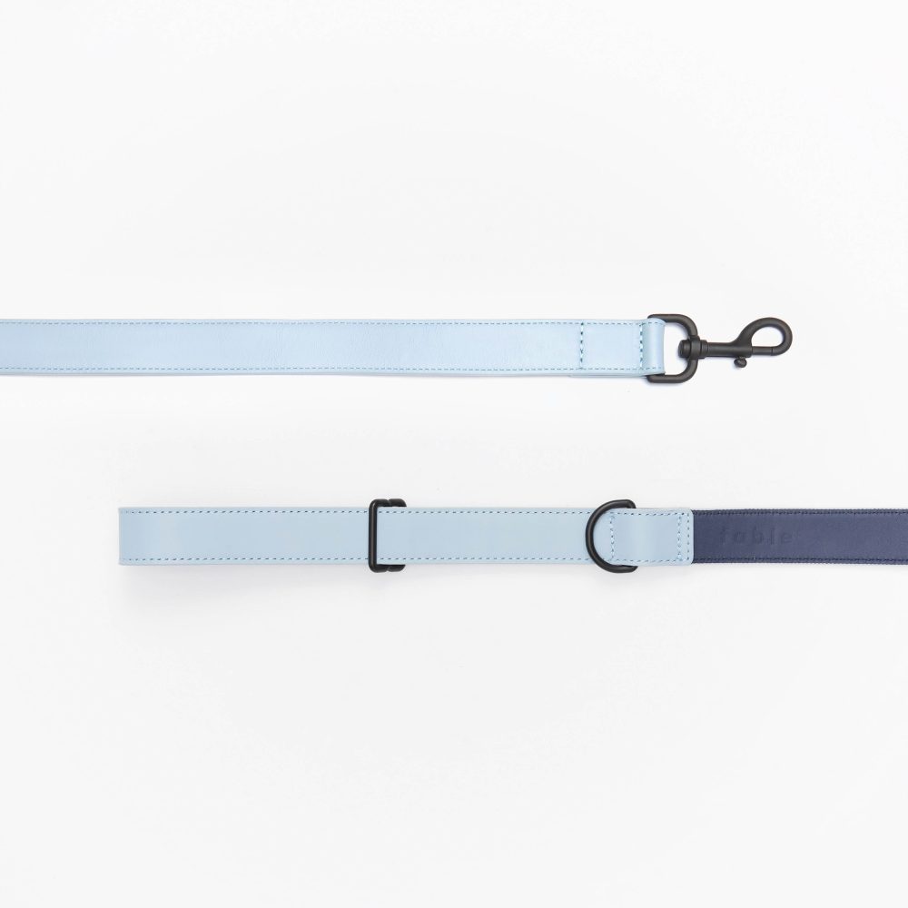 Leather Leash - Image 14