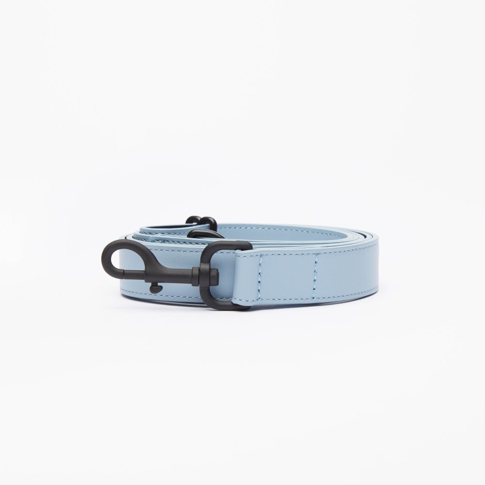 Leather Leash - Image 13