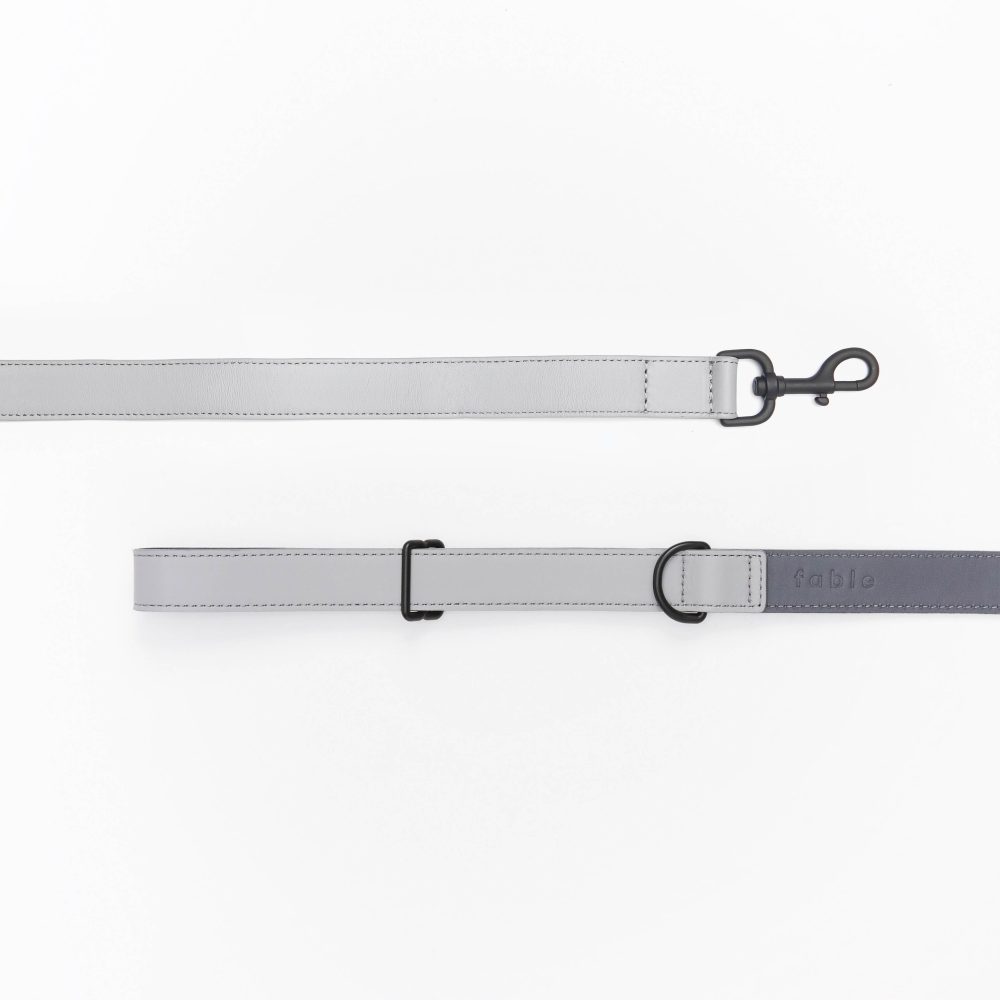 Leather Leash - Image 19
