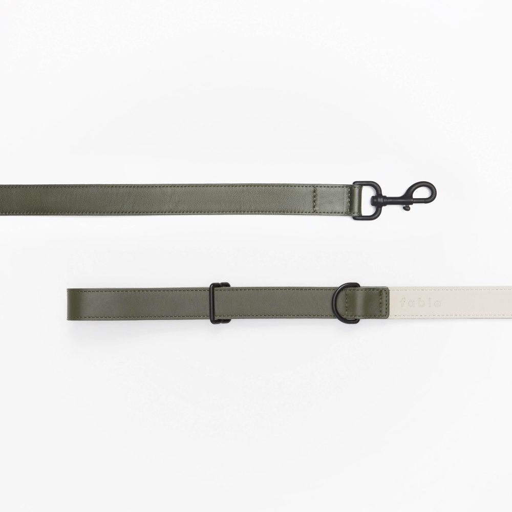 Leather Leash - Image 9