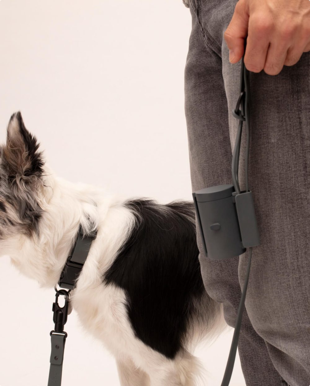 Signature Leash - Image 21