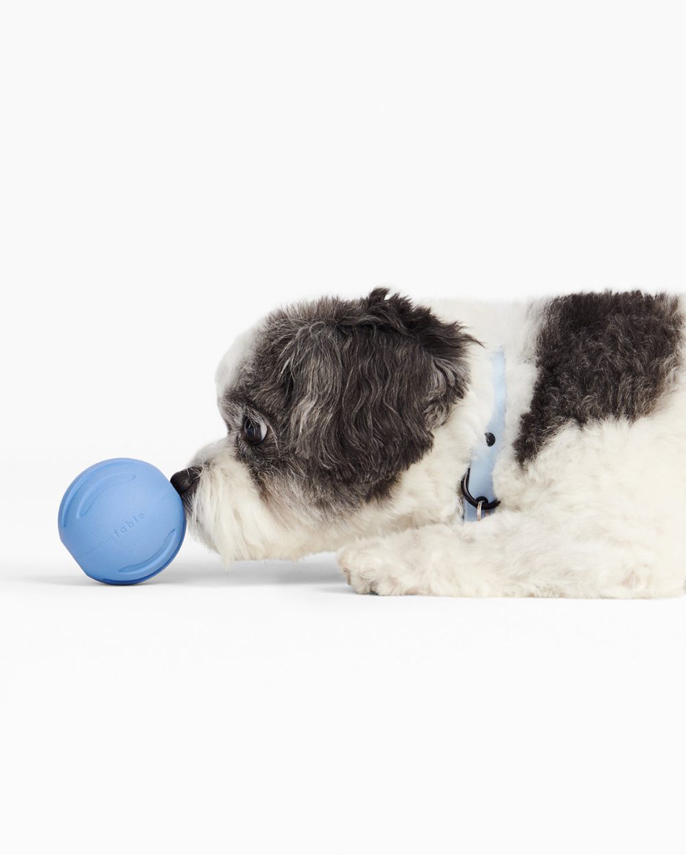 Signature Ball - Image 28