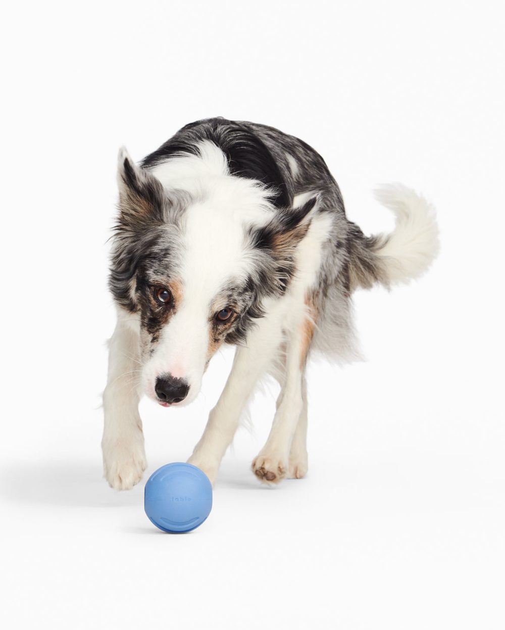 Signature Ball - Image 11