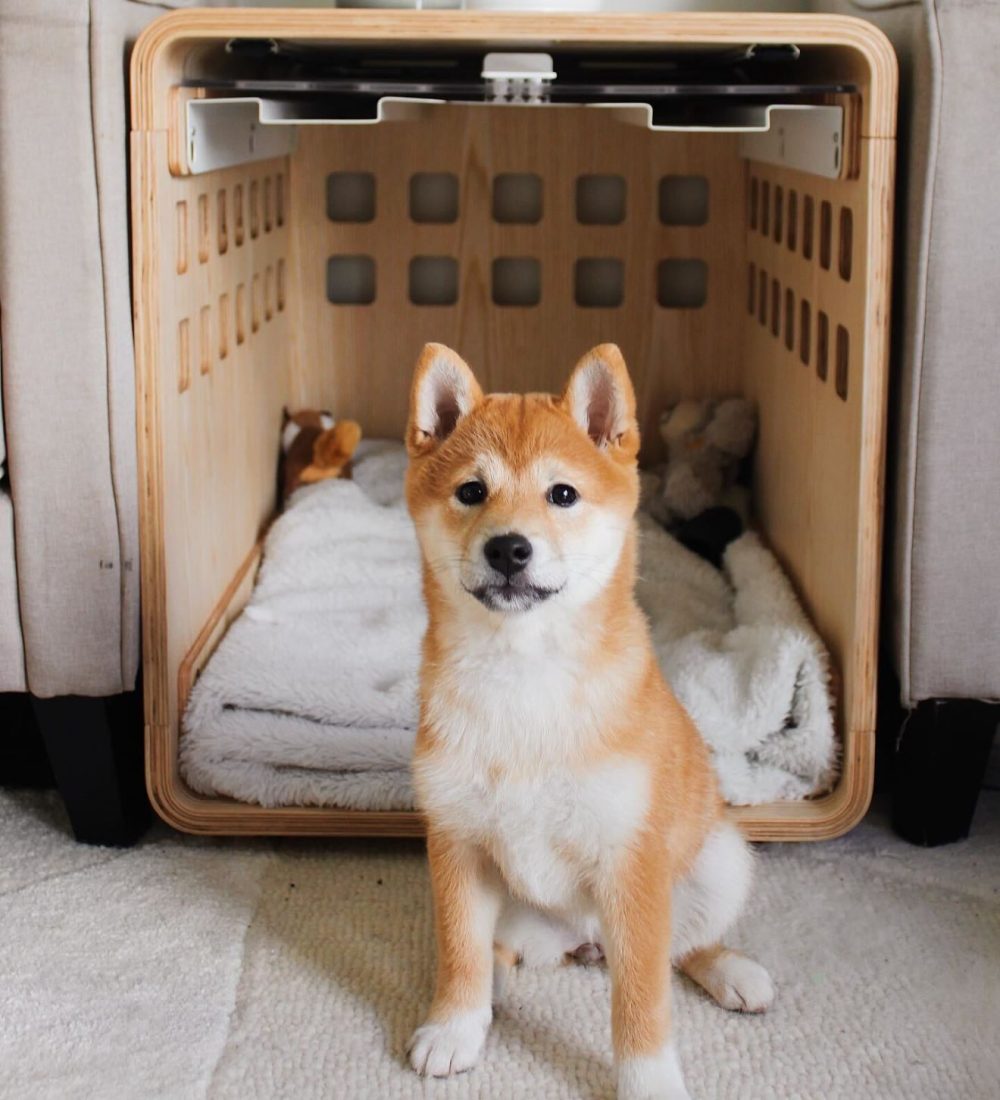 Crate - Image 23