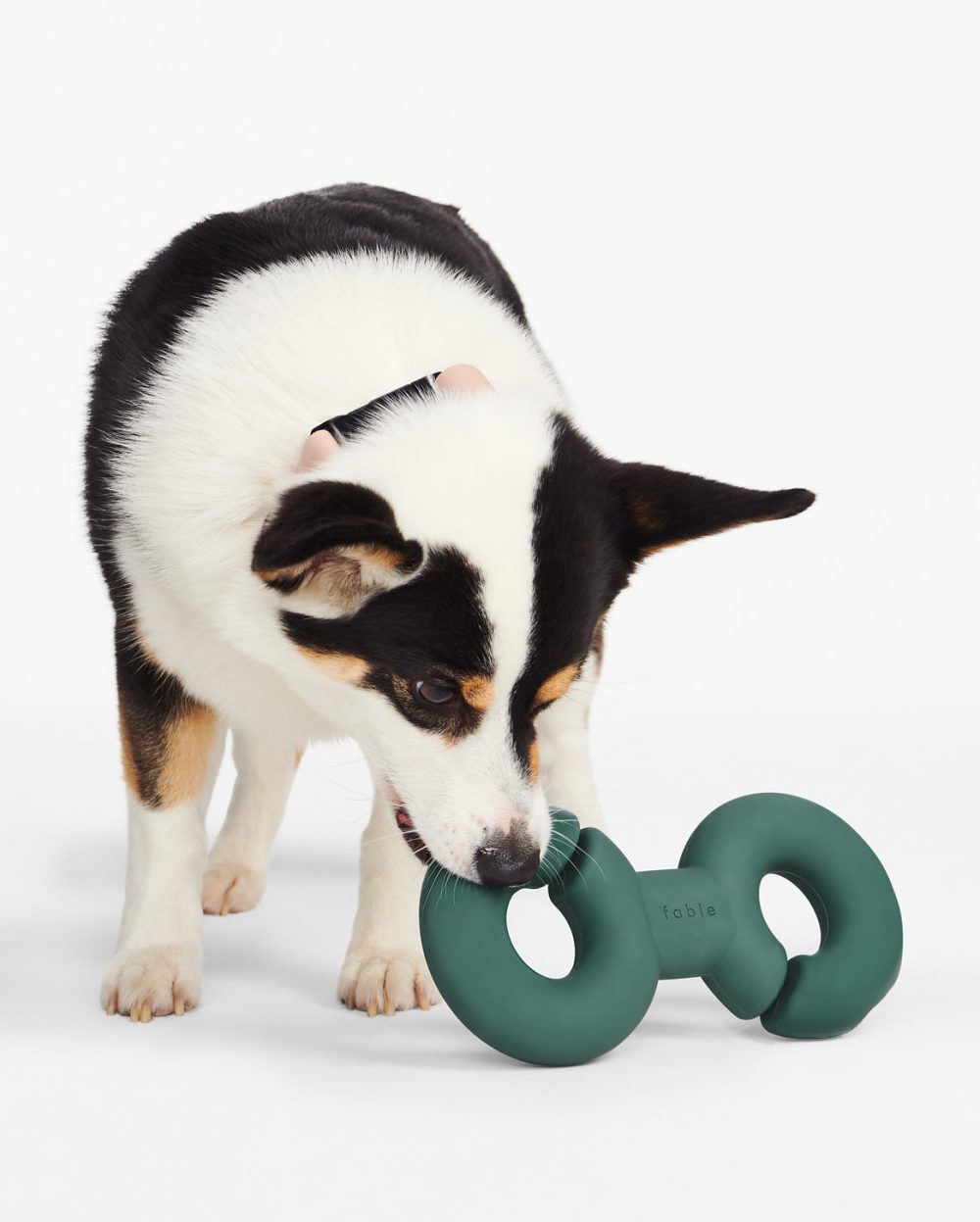 Twin Falcon Toy - Image 5