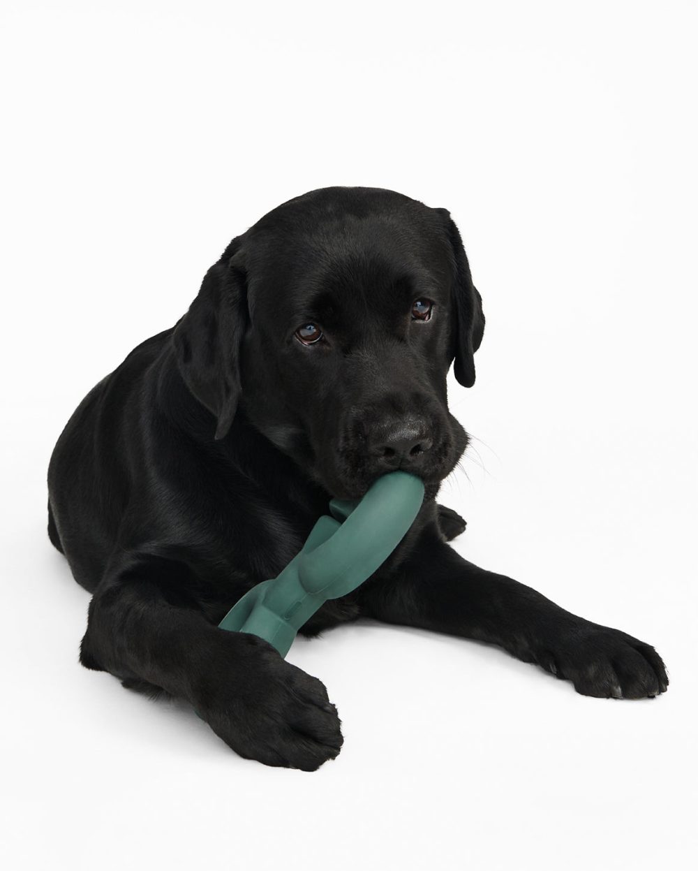 Twin Falcon Toy - Image 6